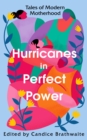 Image for Hurricanes in perfect power  : tales of modern motherhood