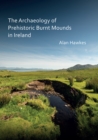 Image for The archaeology of prehistoric burnt mounds in Ireland