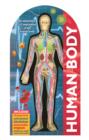 Image for See Inside: The Human Body