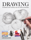 Image for Drawing  : techniques and tutorials for the complete beginner