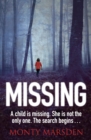 Image for A Missing