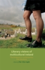 Image for Literary Visions of Multicultural Ireland: The Immigrant in Contemporary Irish Literature