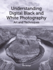 Image for Understanding Digital Black and White Photography: Art and Techniques