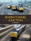 Image for The Severn Tunnel Junction