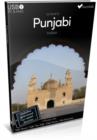 Image for Ultimate Punjabi Usb Course