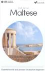 Image for Talk Now! Learn Maltese