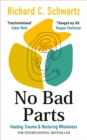 Image for No bad parts  : healing trauma and restoring wholeness with the internal family systems model