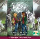 Image for Voices in stone