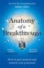 Image for Anatomy of a breakthrough  : how to get unstuck and unlock your potential