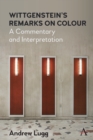 Image for Wittgenstein&#39;s remarks on colour  : a commentary and interpretation