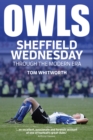 Image for Owls : Sheffield Wednesday Through the Modern Era