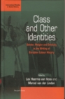 Image for Class and Other Identities: Gender, Religion, and Ethnicity in the Writing of European Labour History
