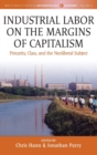 Image for Industrial labor on the margins of capitalism  : precarity, class and the neoliberal subject
