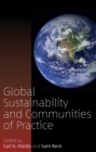 Image for Global sustainability and communities of practice