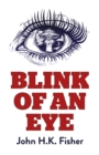 Image for Blink of an eye  : a novel