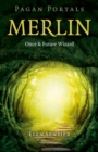 Image for Merlin  : once and future wizard