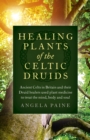 Image for Healing plants of the Celtic druids  : the ancient Celts and their druid healers used plant medicine to treat the mind