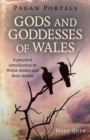 Image for Gods and goddesses of Wales  : a practical introduction to Welsh deities and their stories