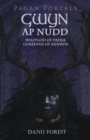 Image for Gwyn ap nudd: wild god of Faery, guardian of Annwfn