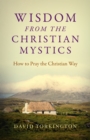 Image for Wisdom from the Christian mystics  : how to pray the Christian way