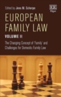 Image for European family lawVolume II,: The changing concept of &#39;family&#39; and challenges for domestic family law