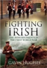 Image for Fighting Irish