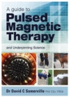 Image for Guide to Pulsed Magnetic Therapy