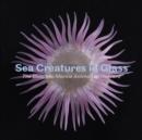 Image for Sea creatures in glass  : the Blaschka marine animals at Harvard