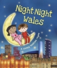 Image for Night- Night Wales