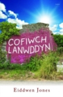 Image for Cofiwch Lanwddyn