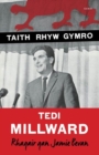 Image for Taith Rhyw Gymro