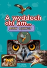 Image for A wyddoch chi am adar Cymru?