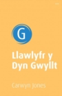 Image for Llawlyfr y Dyn Gwyllt