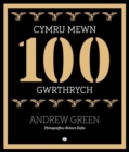 Image for Cymru Mewn 100 Gwrthrych