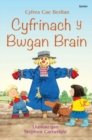 Image for Cyfres Cae Berllan: Cyfrinach y Bwgan Brain