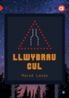 Image for Llwybrau cul