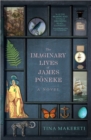 Image for The imaginary lives of James Poneke