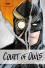 Image for The court of owls  : an original prose novel