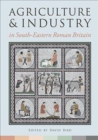 Image for Agriculture and Industry in South-Eastern Roman Britain