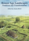 Image for Bronze age landscapes: tradition and transformation