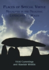 Image for Places of special virtue: megaliths in the Neolithic landscapes of Wales