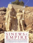 Image for Sinews of empire  : networks in the Roman Near East and beyond