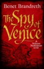 Image for The spy of Venice