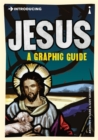 Image for Introducing Jesus: a graphic guide