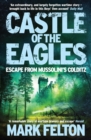 Image for Castle of the eagles: escape from Mussolini&#39;s Colditz