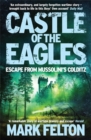 Image for Castle of the Eagles