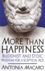 Image for More than happiness  : Buddhist and stoic wisdom for a sceptical age