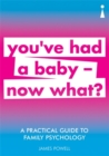 Image for You&#39;ve had a baby - now what?  : a practical guide to family psychology