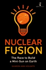 Image for Nuclear fusion: the race to build a mini-sun on earth