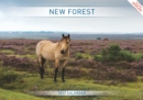 Image for NEW FOREST A4